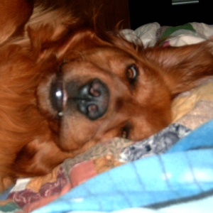 You know you want to rub my belly!!!